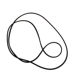 O-ring Genuine 2115183
