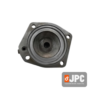 Cover Genuine 244601.1