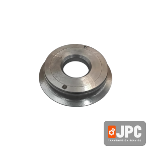 Piston Genuine 4207142