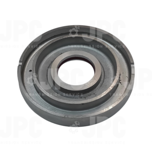 Piston Genuine 4207415.1